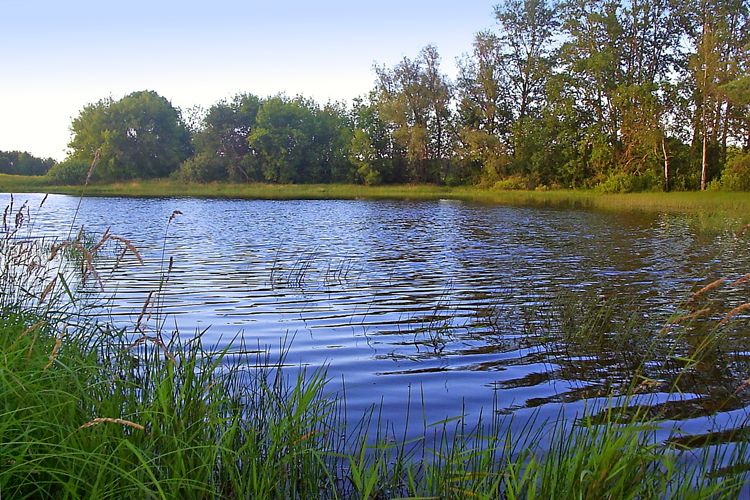 photo "Evening cool" tags: landscape, summer, water