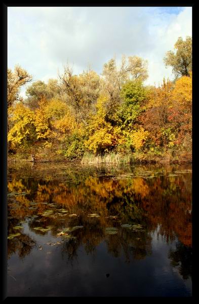 photo "Reflection in a mirror" tags: landscape, autumn, water