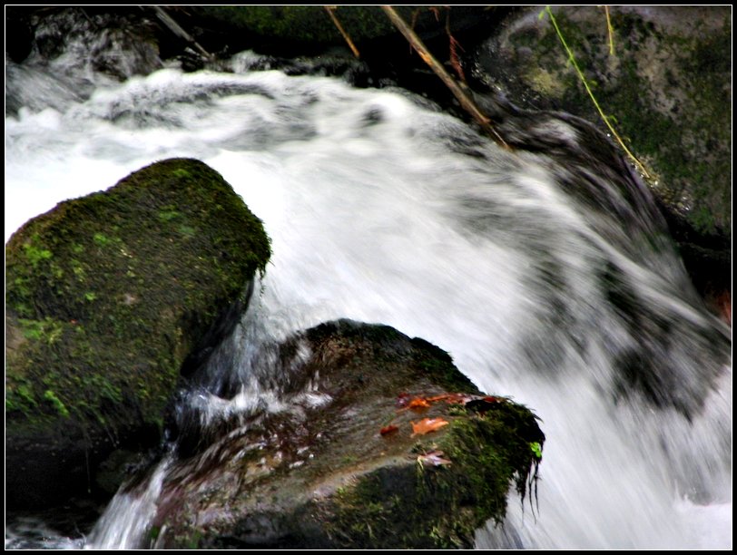 фото "Скорость" метки: пейзаж, природа, вода