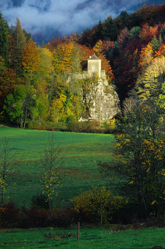 фото "Autumn in Vercors" метки: пейзаж, лес