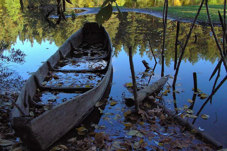 photo "The world behind the looking-glass" tags: landscape, autumn