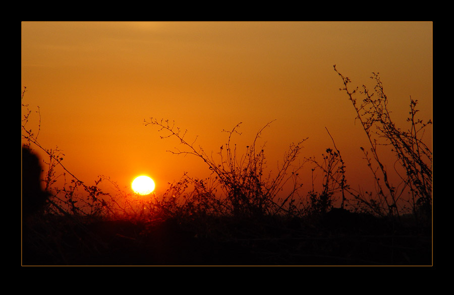 photo "The Morning. Early, early morning..." tags: landscape, night, sunset