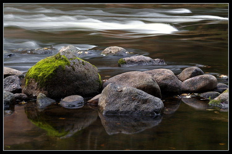 photo "Movement and rest" tags: landscape, water