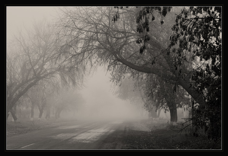 photo "Two siding of the road" tags: misc., black&white, 