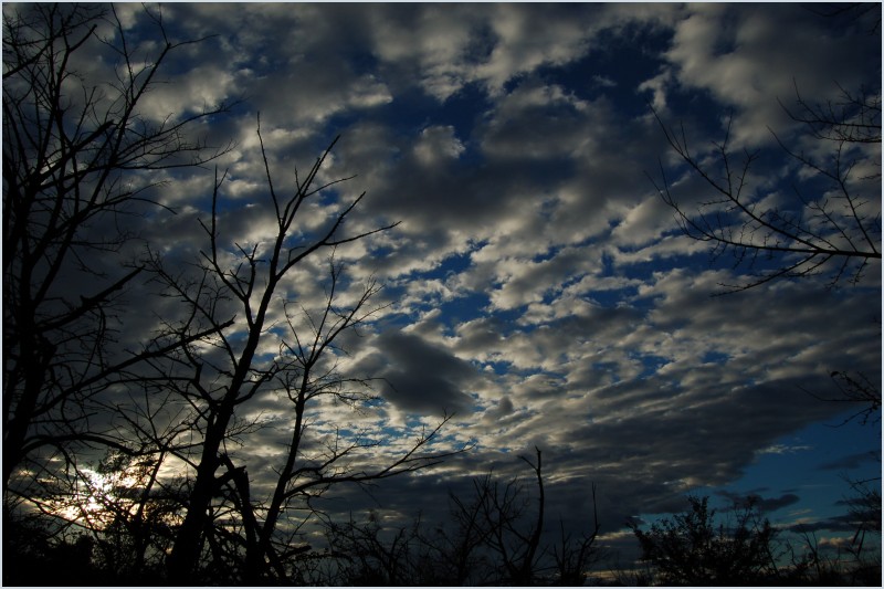 photo "Oktober sky" tags: landscape, clouds, sunset