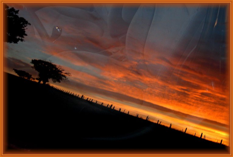 фото "Reflections of a flamboyant dawn" метки: пейзаж, закат, осень