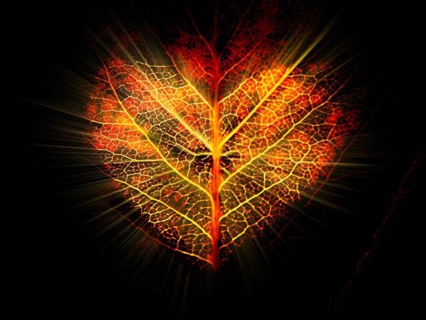 фото "Осеннее сердце" метки: фотомонтаж, 
