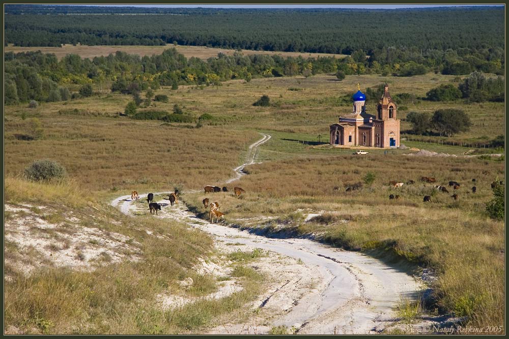 фото "Дорога к храму" метки: , 