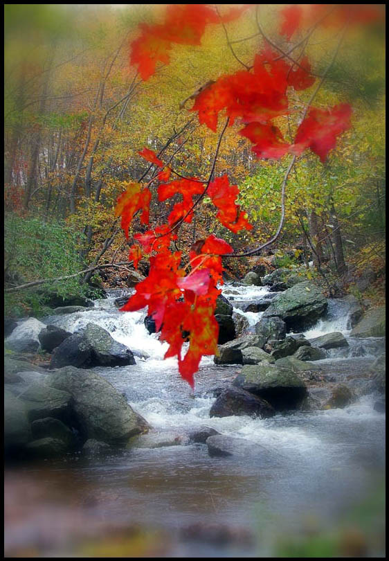 photo "Untitled photo" tags: genre, landscape, autumn