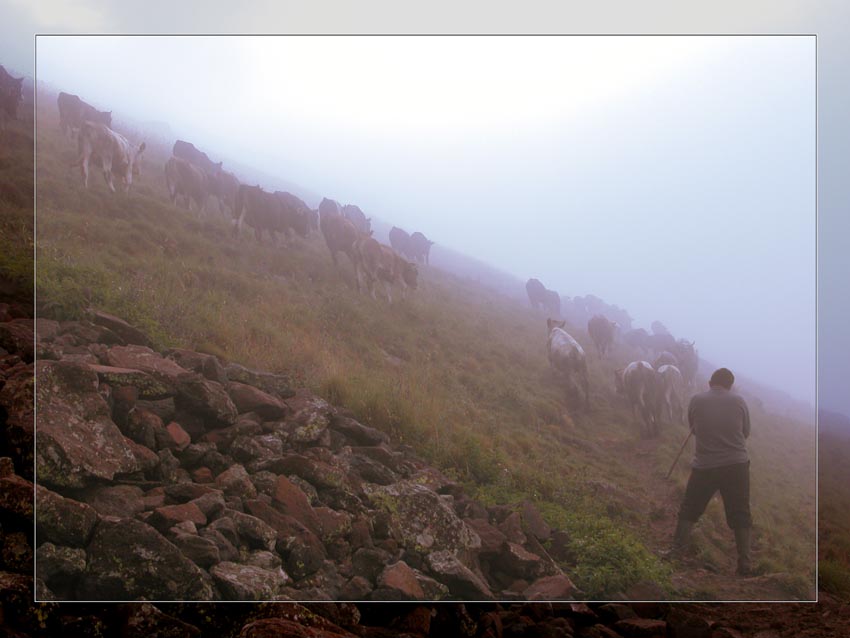 фото "Туманным утром под вершиной Арагаца" метки: пейзаж, путешествия, Азия