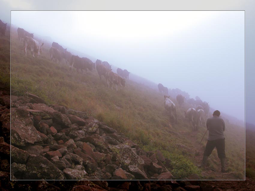 photo "Foggy morning in mountains" tags: landscape, travel, Asia