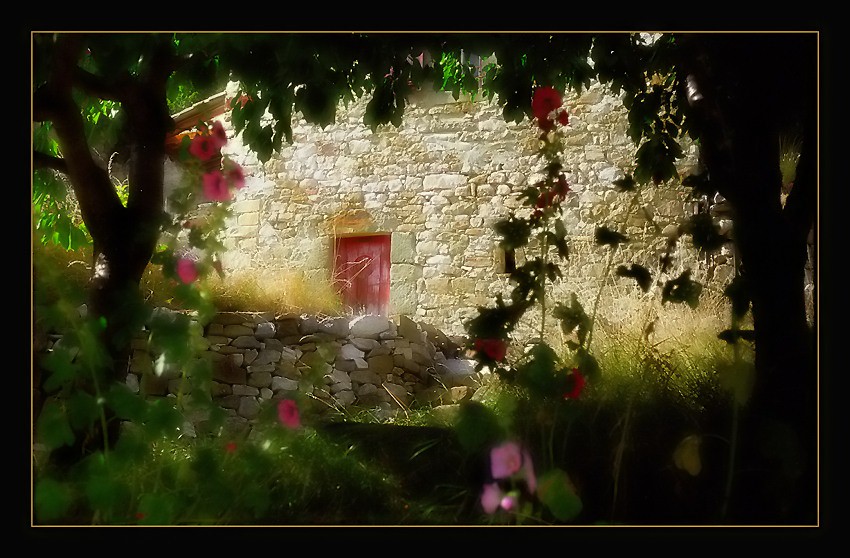 photo "The Old House" tags: landscape, summer