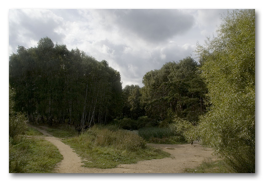 photo "September." tags: landscape, forest, summer