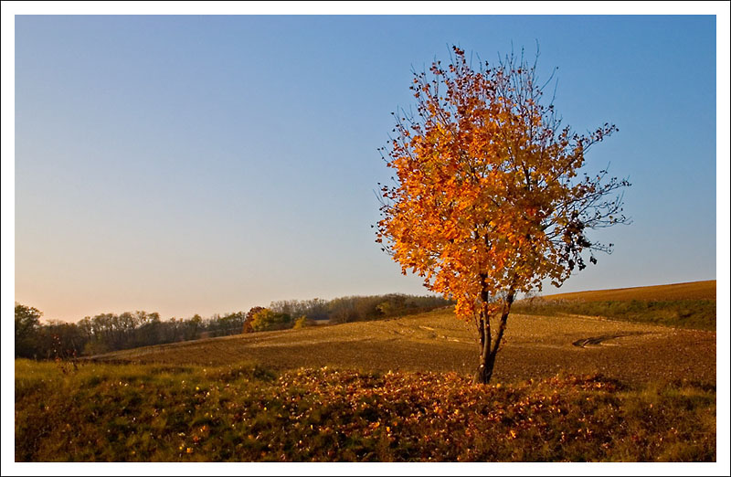 фото "Osen'" метки: пейзаж, осень
