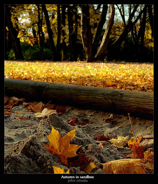 photo "Autumn in sandbox" tags: landscape, nature, 