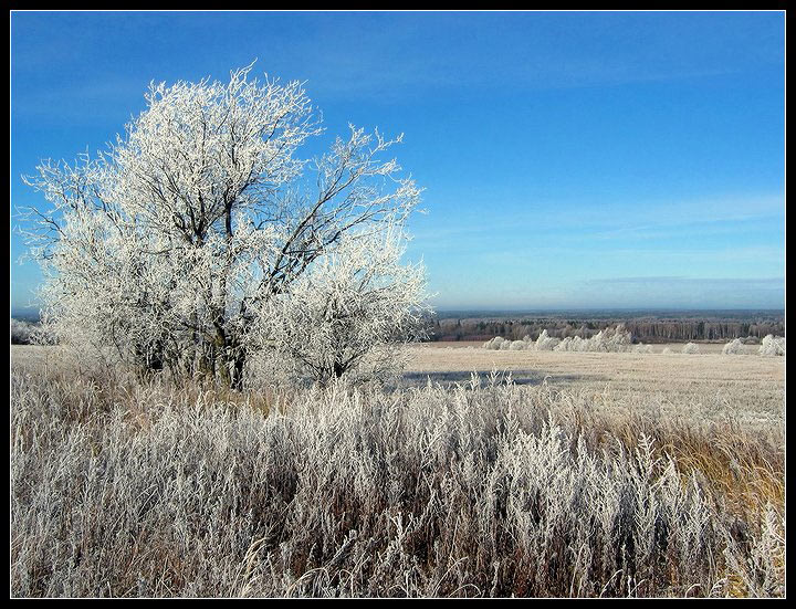 photo "And to us there has come winter." tags: landscape, winter