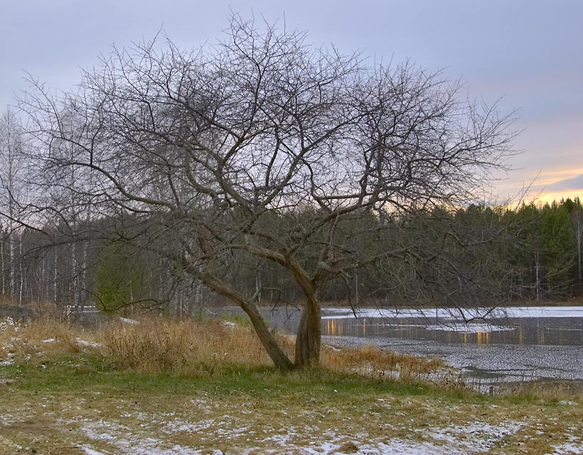 photo "let's start passing the winter..." tags: landscape, autumn, sunset