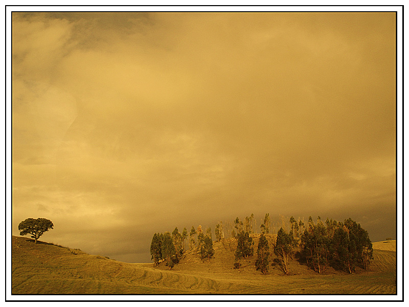 photo "Alone against all" tags: landscape, autumn, clouds