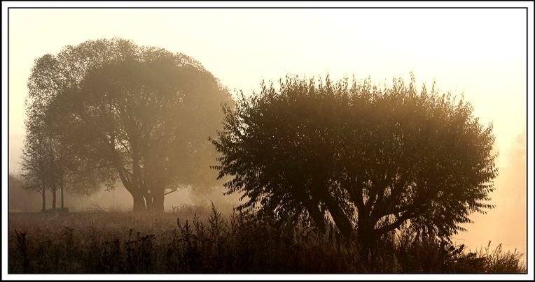 фото "Утро" метки: пейзаж, природа, осень