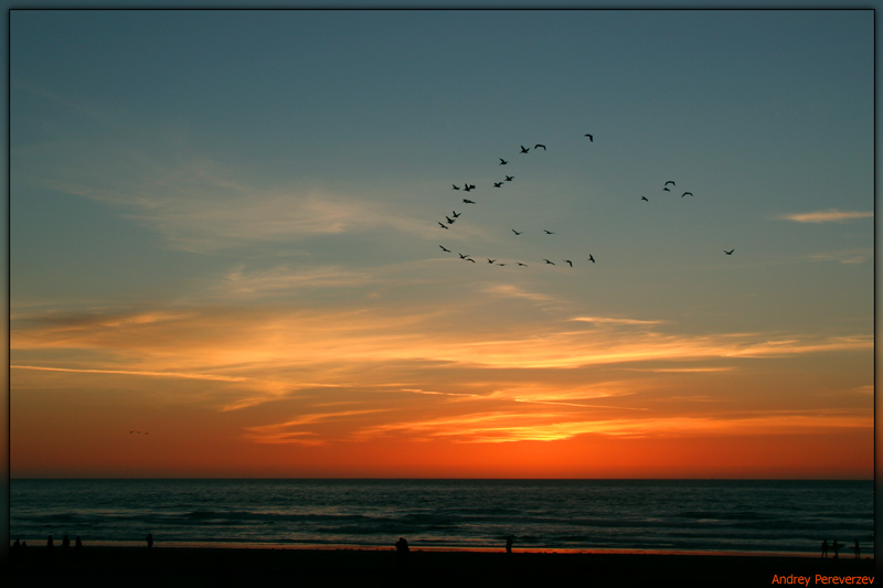 photo "Flying Over Sunset" tags: landscape, sunset
