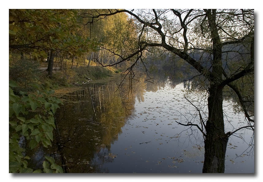 photo "October." tags: landscape, autumn, forest