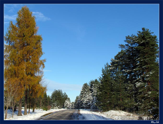 фото "Зима пришла!" метки: природа, пейзаж, лес