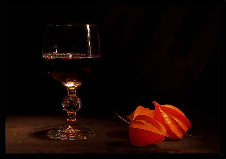 photo "Untitled photo" tags: still life, 