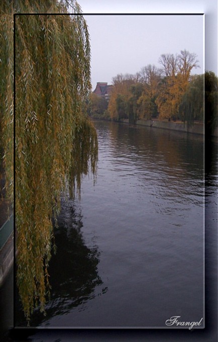 фото "River in fall..." метки: разное, 