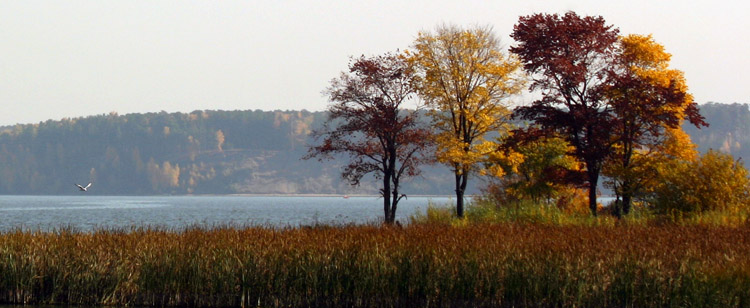 photo "autumn colors" tags: landscape, autumn