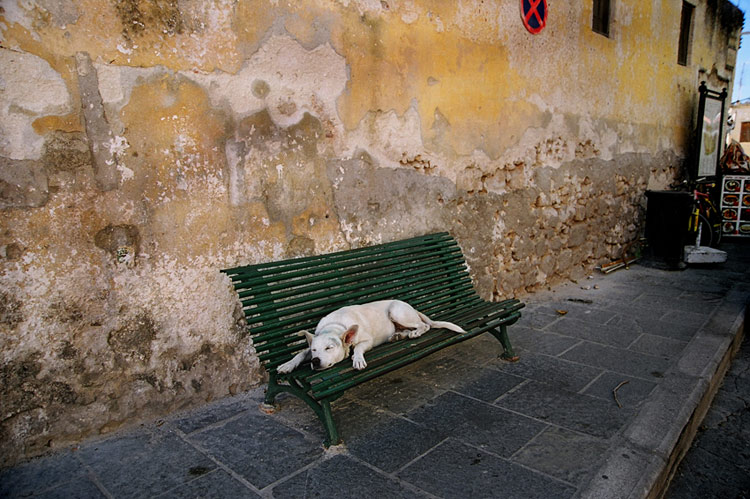 photo "Untitled photo" tags: misc., 