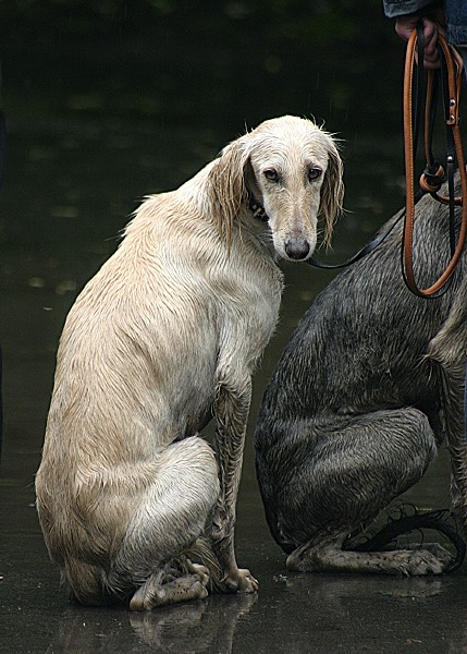 photo "Untitled photo" tags: nature, pets/farm animals