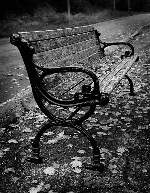 photo "Без названия Untitled" tags: black&white, landscape, autumn