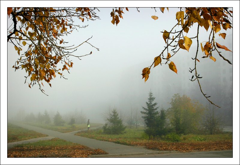 фото "осенне туманный городской этюд" метки: пейзаж, жанр, осень