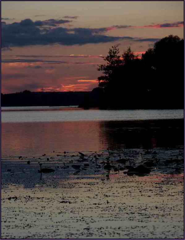 photo "Summer evening" tags: landscape, sunset