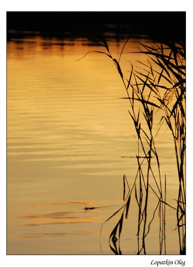 photo "Sunset on a "Deep" lake, Moscow region" tags: nature, landscape, sunset