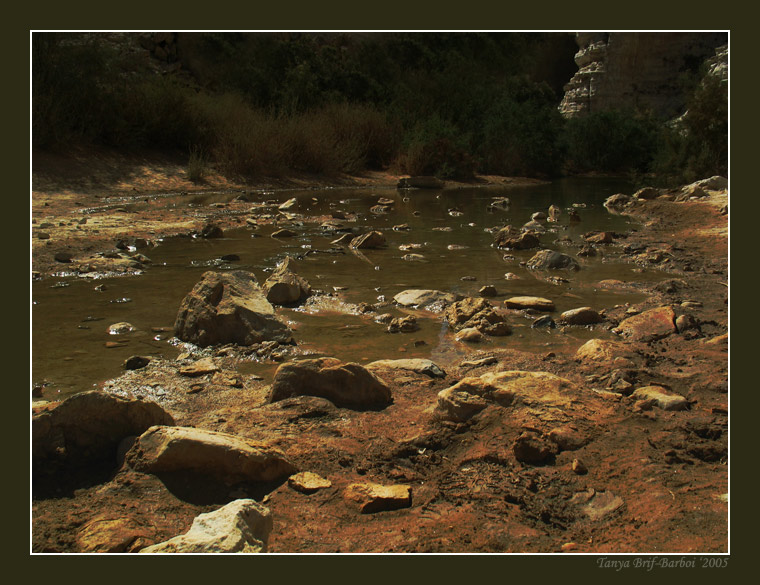 photo "Nature Preserve Ein-Ovdat" tags: landscape, mountains, water