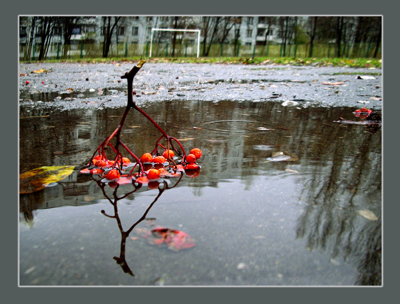 фото ""В городе осень....."" метки: архитектура, жанр, пейзаж, 