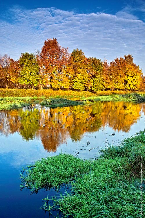 photo "Russian golden autumn" tags: landscape, autumn