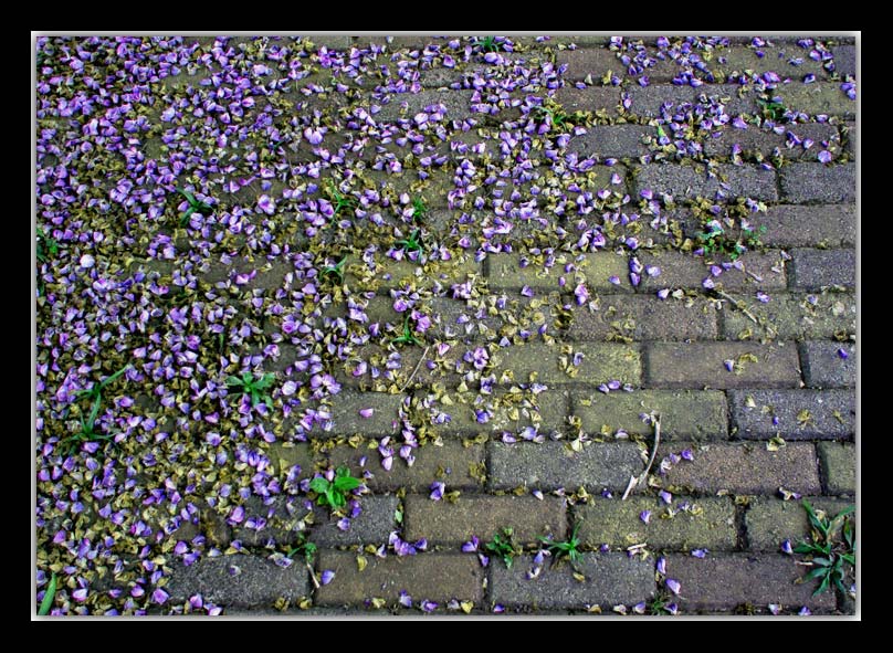 фото "My way" метки: абстракция, 