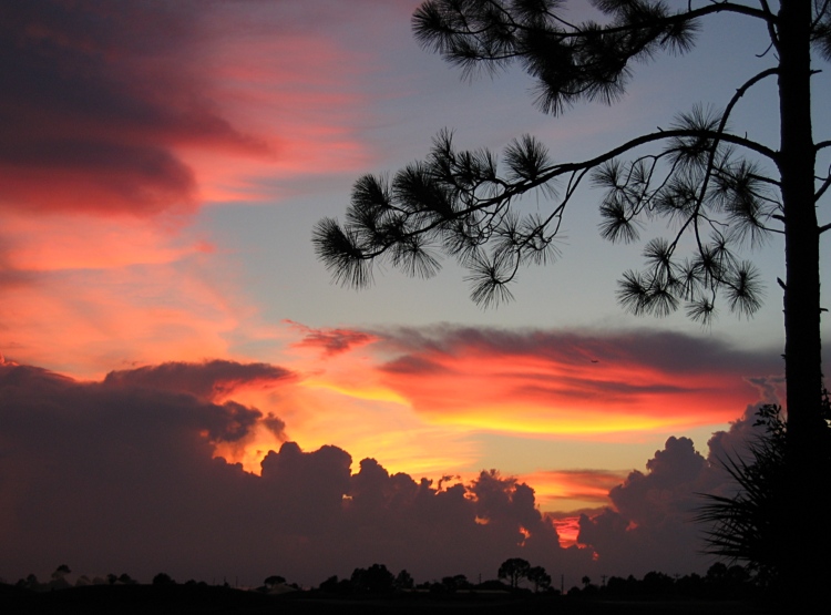 photo "View From Copperhead" tags: landscape, sunset