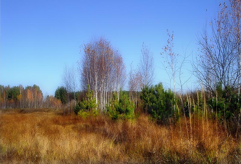 photo "Last warm days" tags: landscape, nature, autumn