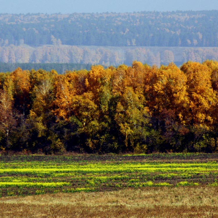 photo "different levels of autumn" tags: , 