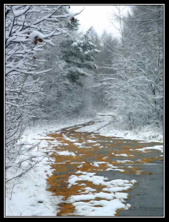 photo "First snow" tags: landscape, winter