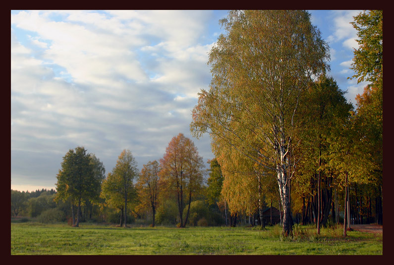photo "Typical Russian view" tags: landscape, autumn, forest