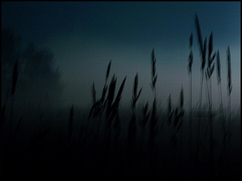 photo "Foggy night" tags: landscape, night