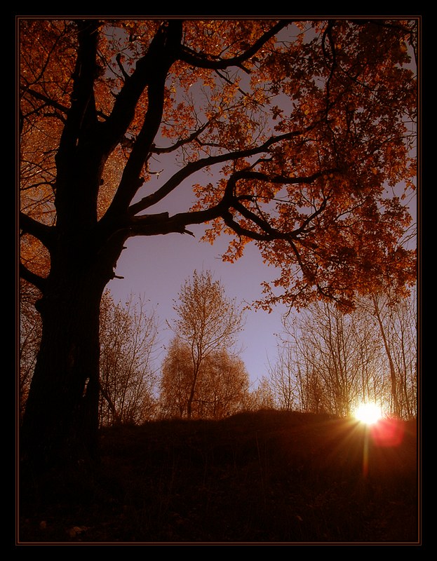 фото "***" метки: пейзаж, 