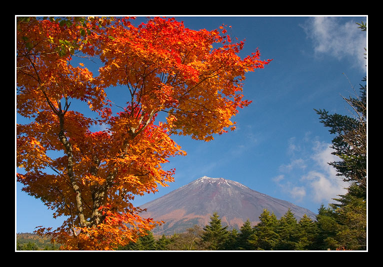 фото "Autumn Colors" метки: пейзаж, горы, осень