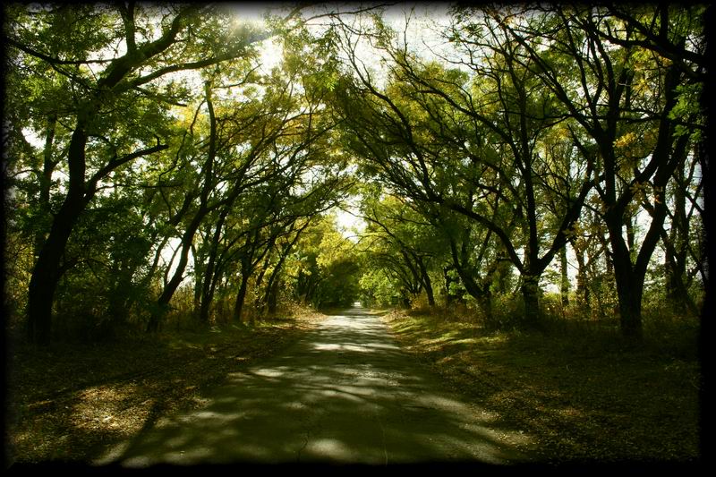 фото "In a shadow of trees" метки: пейзаж, осень