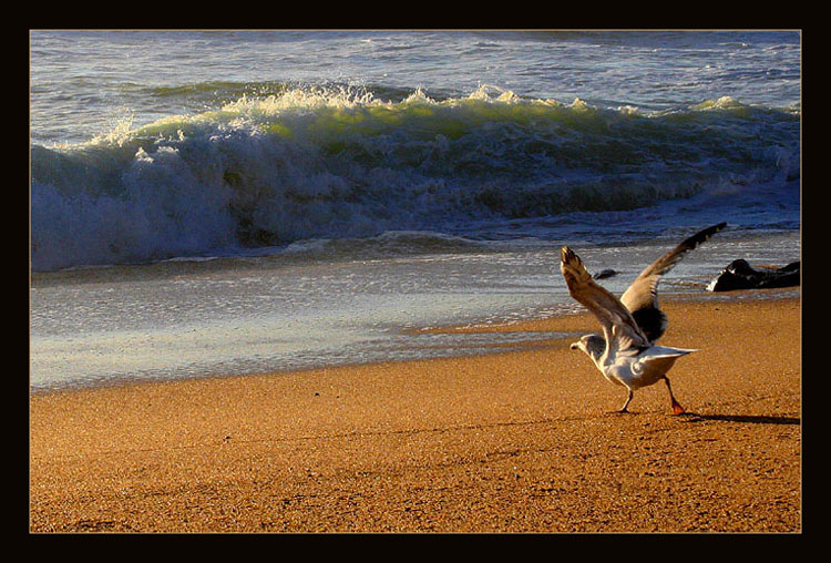 photo "facing destiny" tags: landscape, water