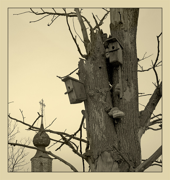 photo "The deserted dwellings" tags: nature, 